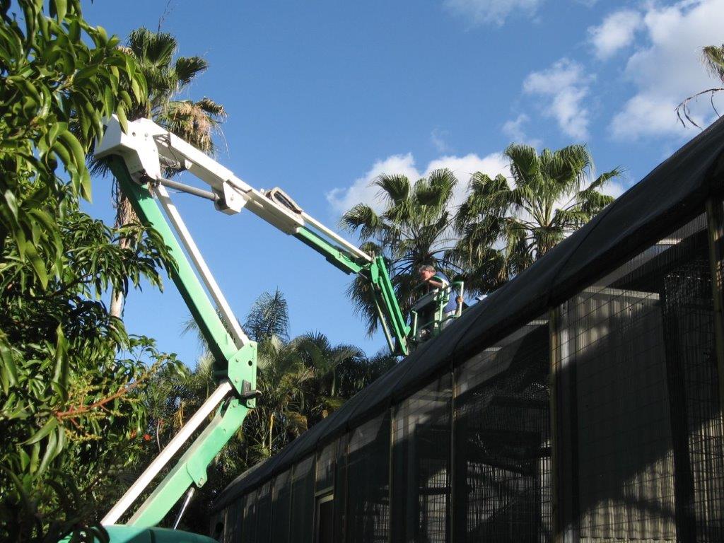 Image showcasing Hyacinth Macaw Shelters | Hyacinth Macaw Aviary