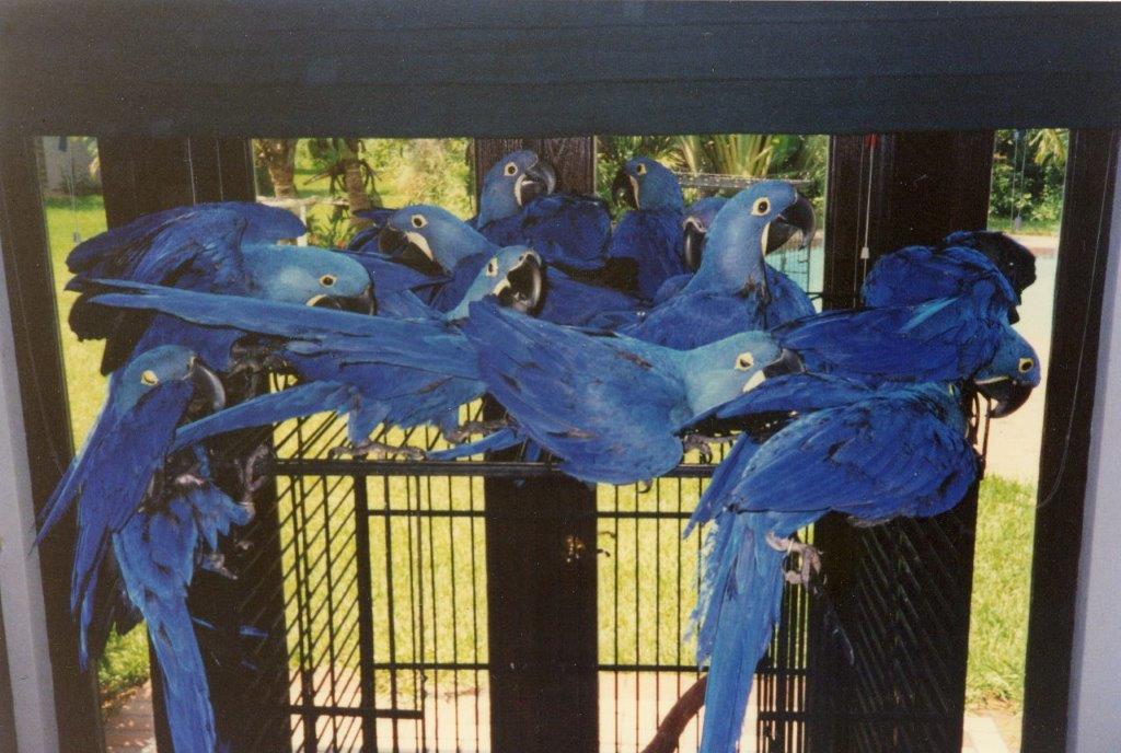 Weaned babies 7-9 months